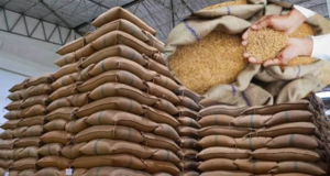 ਪੰਜਾਬ ‘ਚ ਕਣਕ ਦੀ ਸਰਕਾਰੀ ਖ਼ਰੀਦ ਭਲਕੇ ਤੋਂ ਸ਼ੁਰੂ: 132 ਲੱਖ ਮੀਟ੍ਰਿਕ ਟਨ ਲਈ ਖ਼ਰੀਦ ਪ੍ਰਬੰਧ ਮੁਕੰਮਲ